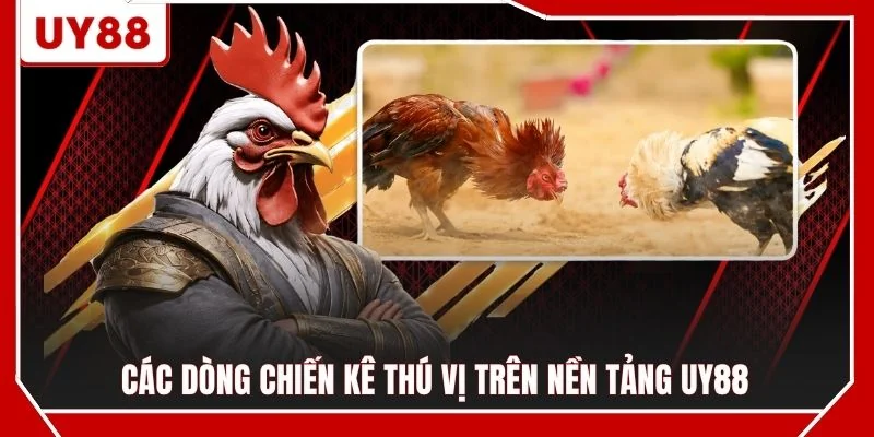 Các dòng chiến kê thú vị trên nền tảng UY88