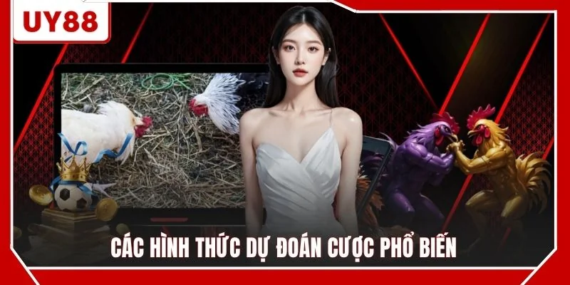 Các hình thức dự đoán cược phổ biến