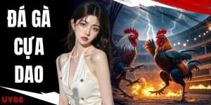 Đá Gà Cựa Dao UY88 - 5 Điểm Tạo Nên Trận Đấu Nghẹt Thở