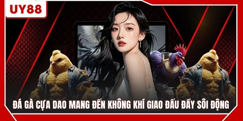Đá gà cựa dao mang đến không khí giao đấu đầy sôi động