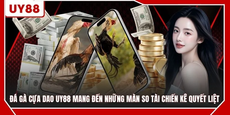 Đá gà cựa dao UY88 mang đến những màn so tài chiến kê quyết liệt