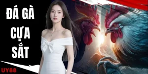 Đá Gà Cựa Sắt | Trực Tiếp 50 Trận Đấu Nảy Lửa Hôm Nay