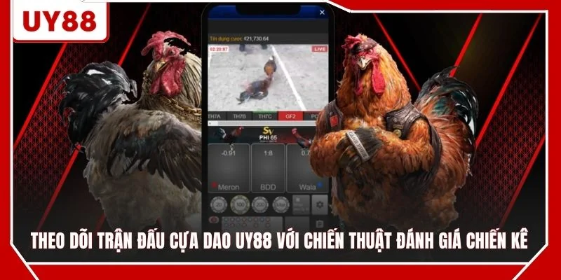 Theo dõi trận đấu cựa dao UY88 với chiến thuật đánh giá chiến kê