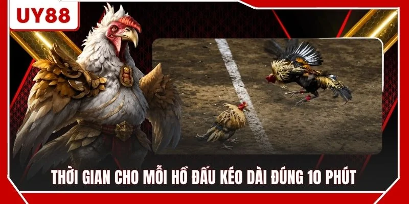 Thời gian cho mỗi hồ đấu kéo dài đúng 10 phút
